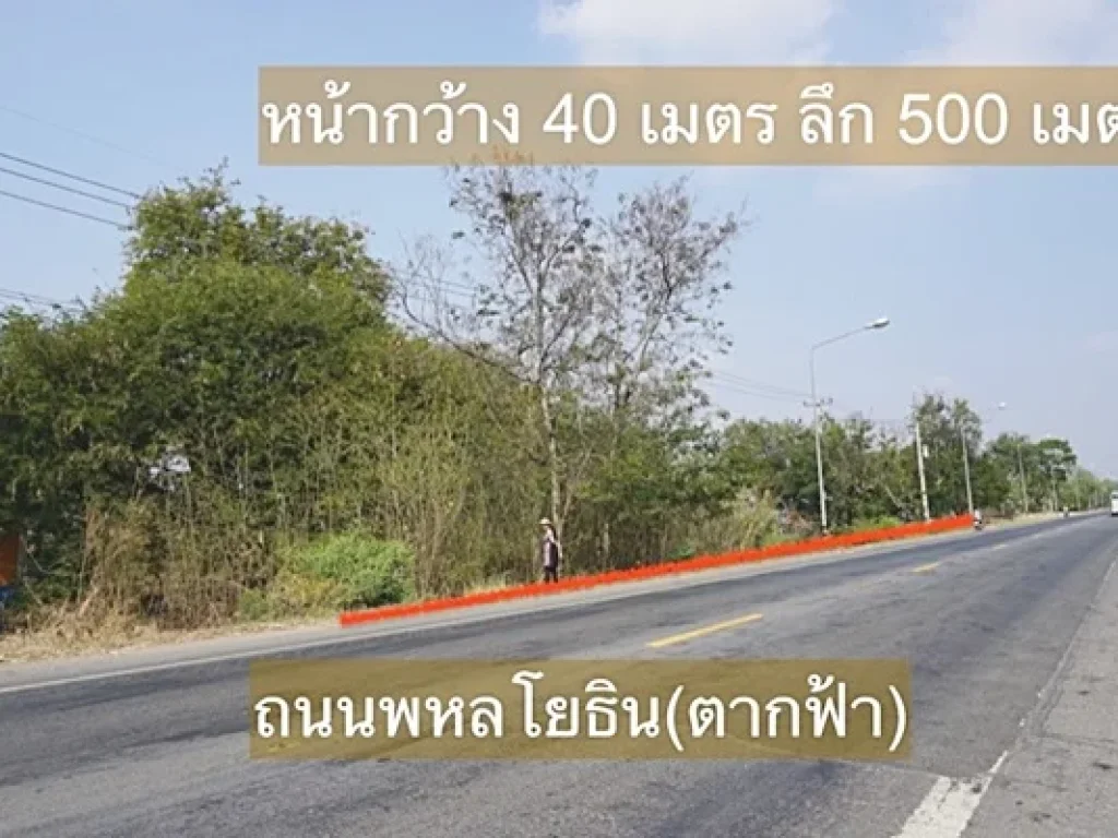 ที่ดินเปล่า ลำพยนต์ ตากฟ้า ตำบลลำพยนต์ อำเภอตากฟ้า นครสวรรค์ 13 ไร่ 248 ตรว