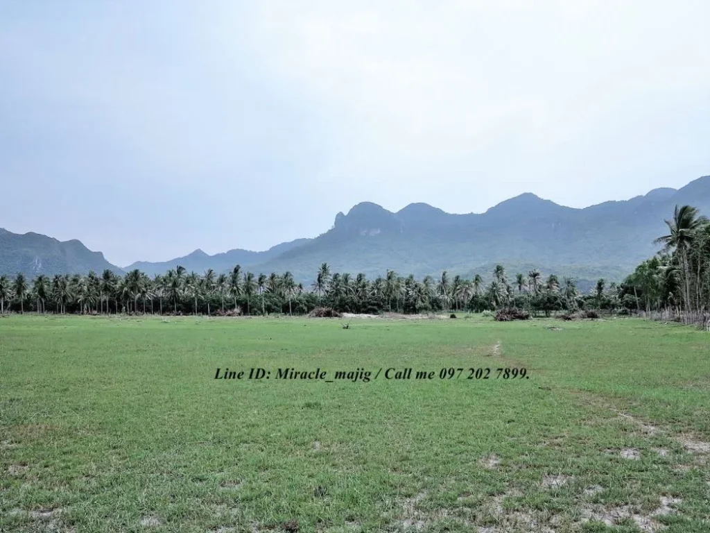 ขายที่ดินใกล้วิวภูเขา