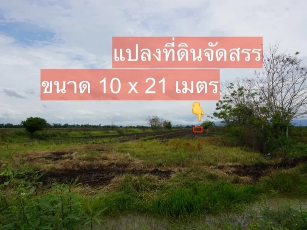 ขาย ที่ดิน บางอ้อ บ้านนา นครนายก เนื้อที่ 50 ตรว ราคา 150000 บาท