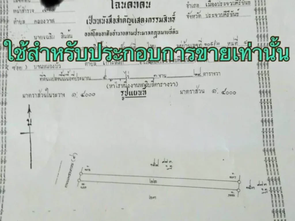 ขายที่ดินเปล่า ติดถนนใหญ่ คลองวาฬ ประจวบฯ