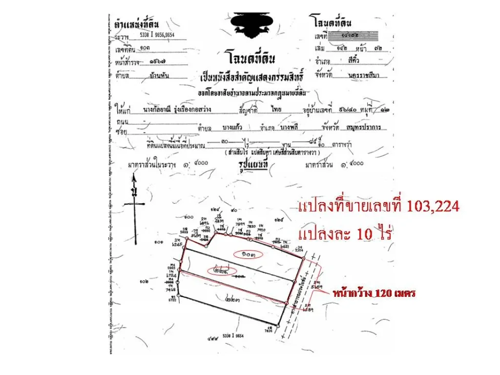 ขายที่ดินด่วน บ้านหัน สีคิ้ว รวม 20 ไร่