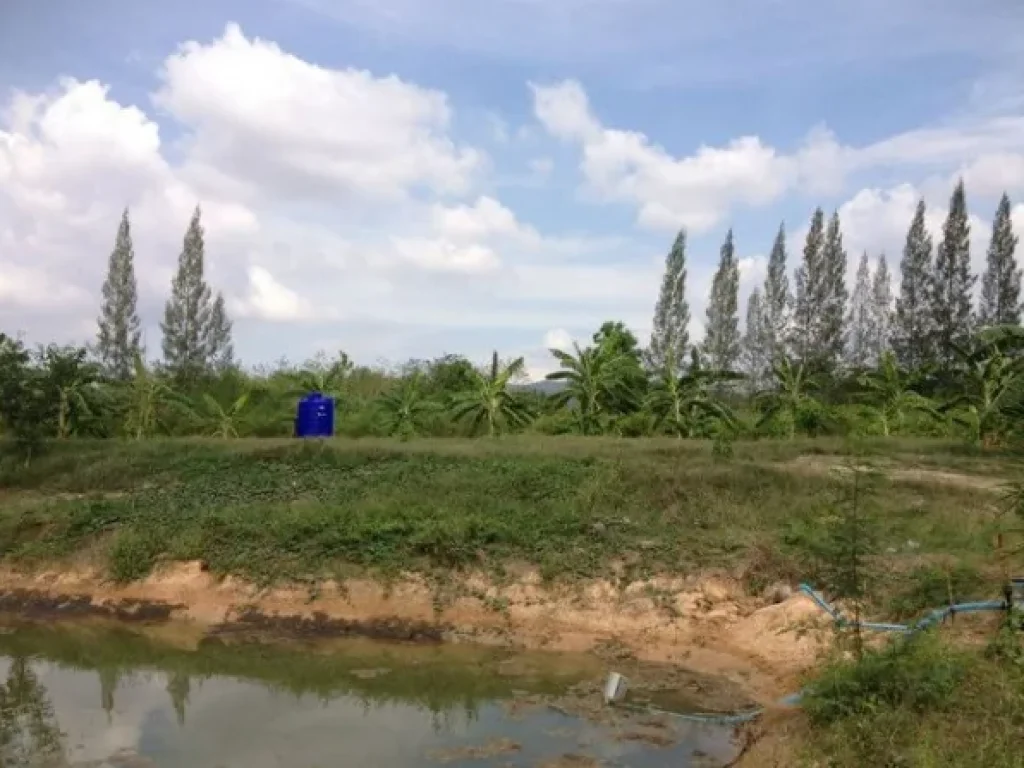 ขายที่ดินหัวหิน 8 ไร่ อำเภอหัวหิน จังหวัดประจวบคีรีขันธ์