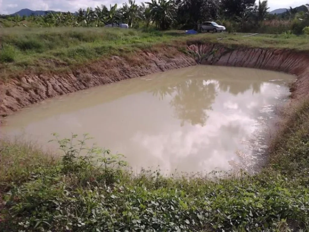 ขายที่ดินหัวหิน 8 ไร่ อำเภอหัวหิน จังหวัดประจวบคีรีขันธ์