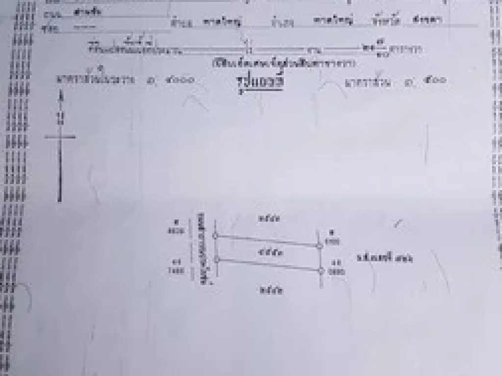 ขายที่ดิน2ห้อง 45ตารางวา ถนนทวีรัตน์ ตหาดใหญ่ อ หาดใหญ่ จสงขาล