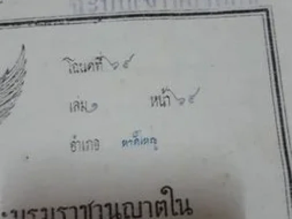 ขายที่ดินด่วน ตหาดใหญ่ อหาดใหญ่ จสงขลา 122 ตารางวา 15 ล้าน