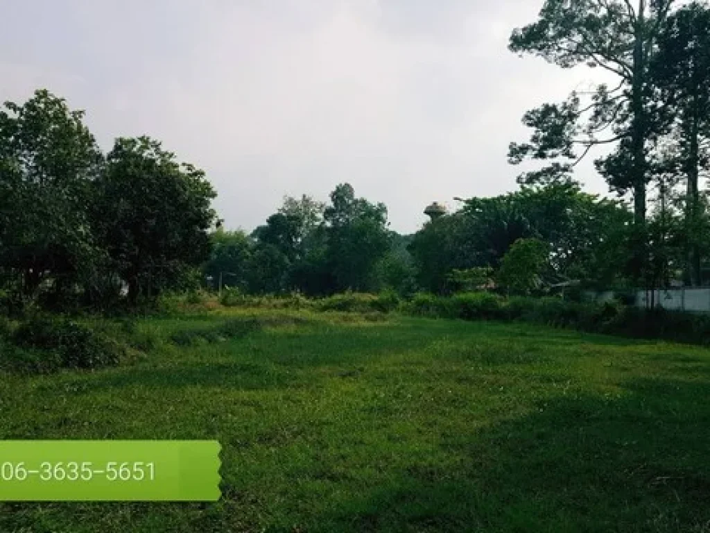 แปลงนี้สำหรับสายบุญสายธรรมเดินไปวัดทำบุญ ทำเกษตรพอเพียงราคาเบาๆจัดแปลงนี้จ้า