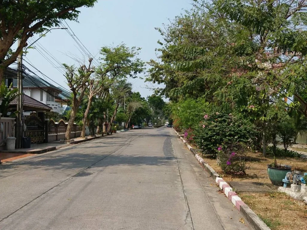 ขายที่ดิน ซอยท่าอิฐ จังหวัดนนทบุรี