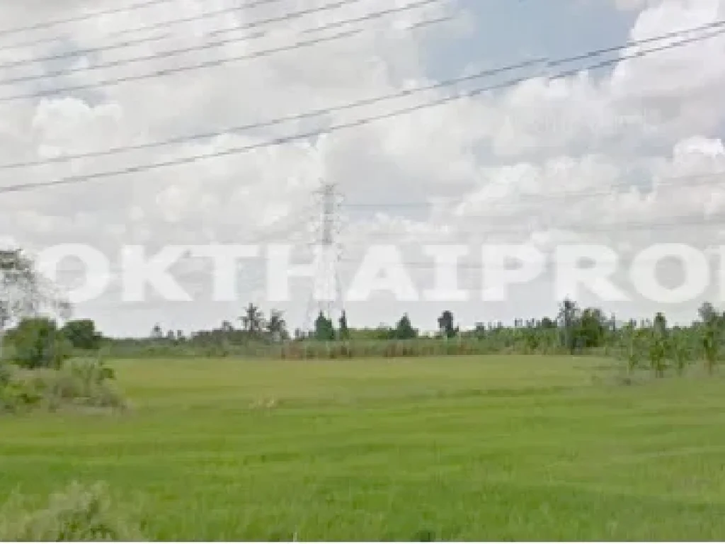 ที่ดิน 315 ตรวา ถพิชัยเขต บางใหญ่