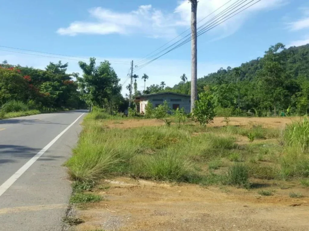 ที่ดินพร้อมบ้าน 9-0-20 ไร่ ติดถนนลาดยางสายไปบ้านทุ่งเพล ตปัถวี อมะขาม