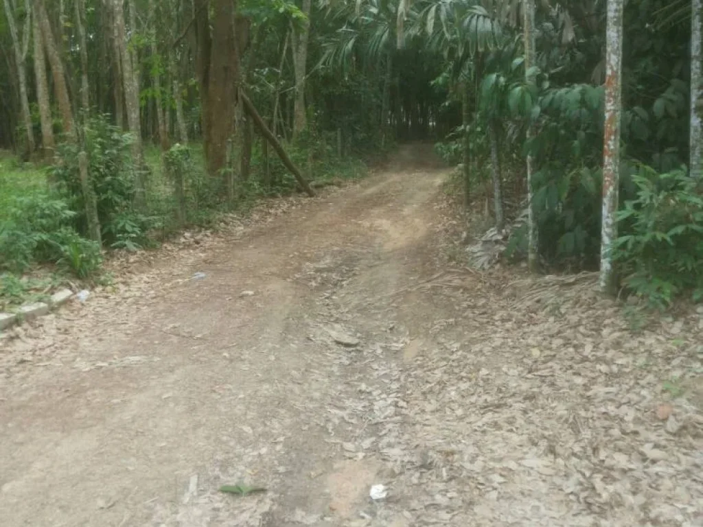 ขายที่ดินในนิคมอุตสาหกรรม