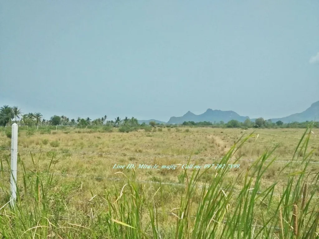 ขายที่ดินว่างปล่าวแปลงใหญ่