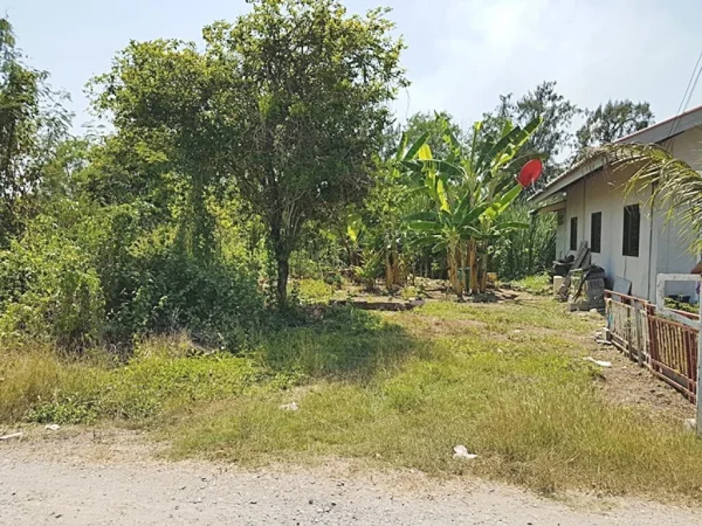 ที่ดินเปล่า ถนนคู้-คลองสิบ หนองจอก กรุงเทพ 280 ตรว