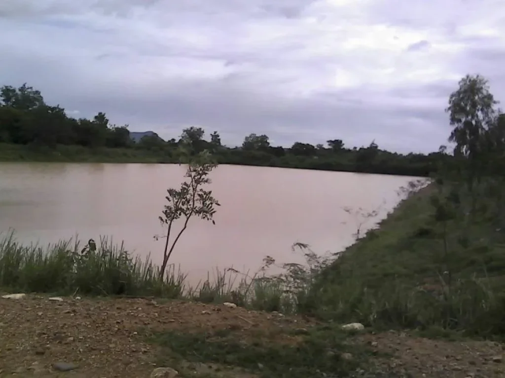 เพชรบุรี หนองหญ้าปล้อง ที่ดินเปล่าทำศูนย์สุขภาพ บ้านพักคนชรา ร่มรื่น 211 ไร่