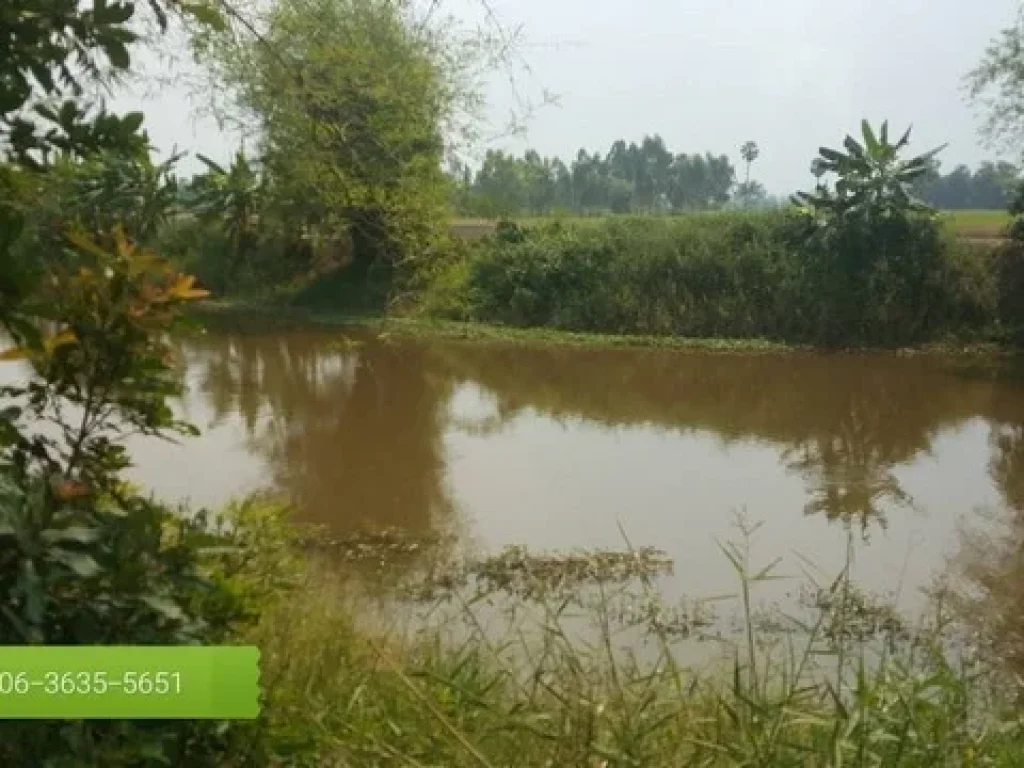 ที่ดินเพื่อการเกษตรมีน้ำใช้ตลอดปีเดินทางมาสะดวกสุดๆ