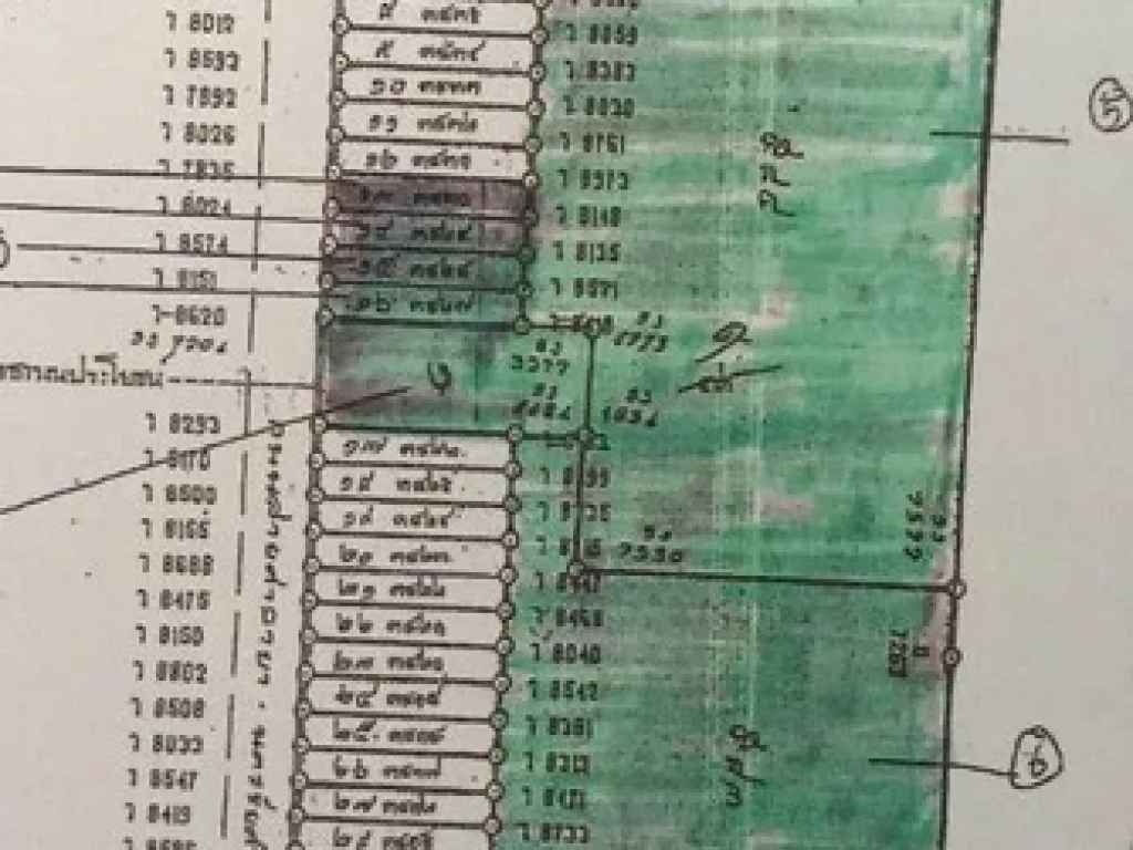 ขายที่ดินติดถนนศาลายา ใกล้ มมหิดล ศาลายา 4-2-57 ไร่