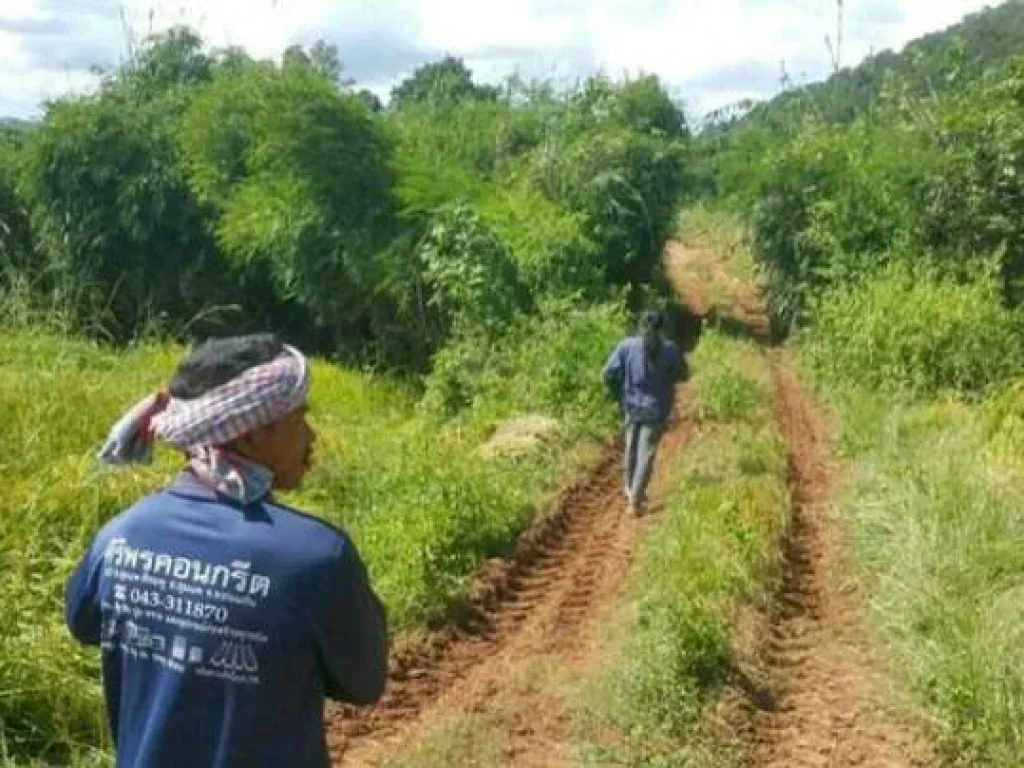 ที่ดินภบท5 อน้ำหนาว จเพชรบูรณ์