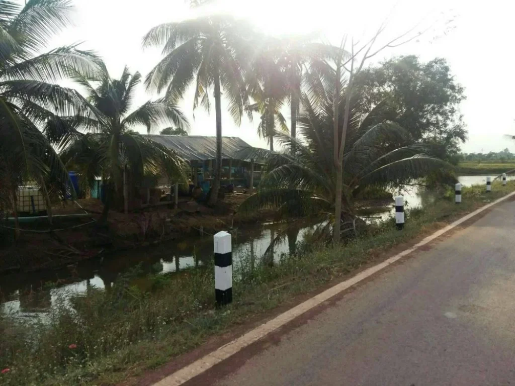 ขายที่ดิน มีโฉนด อำเภอเมือง จังหวัดปราจีนบุรี