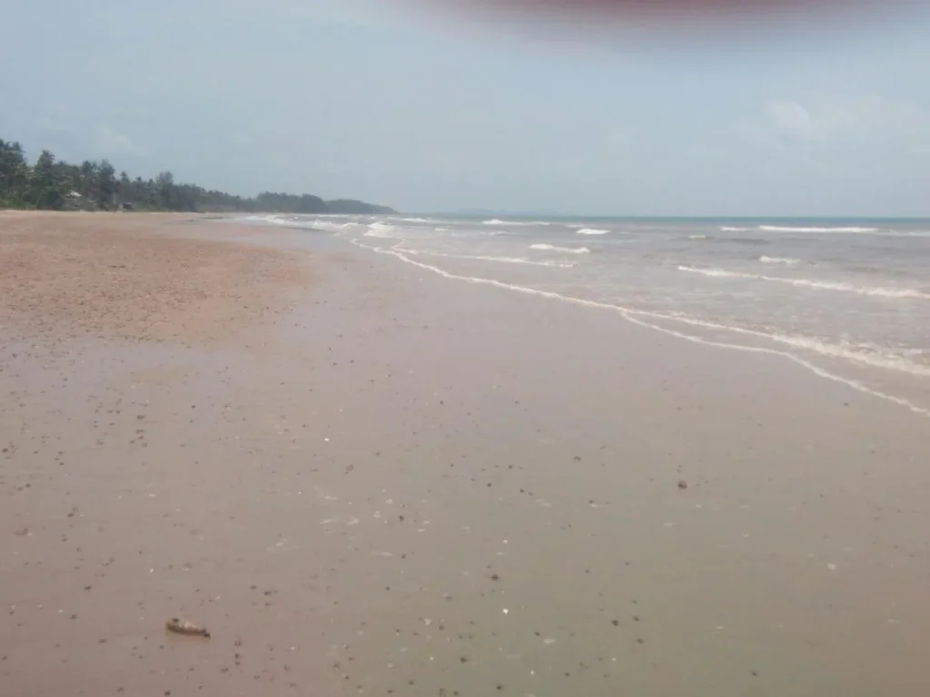 ขายที่ดินติดทะเล มีหาดส่วนตัว บางสะพานน้อย484ตรว