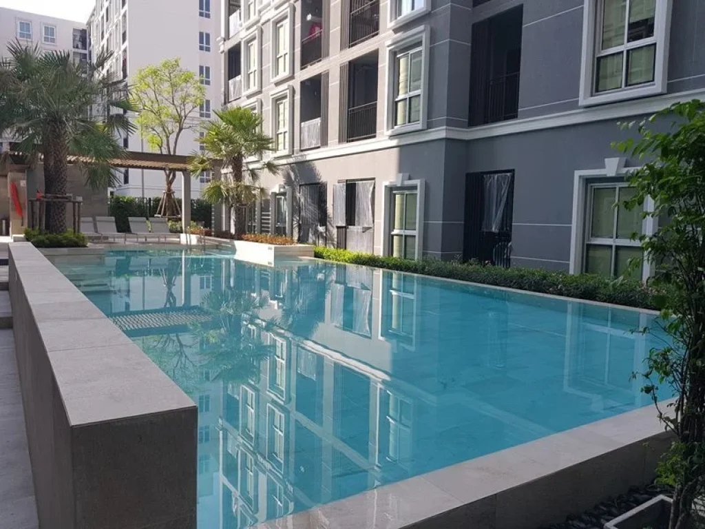 ขายพร้อมผู้เช่า พลัมคอนโด แจ้งวัฒนะ Plum Condo Chaengwattana เฟส 2 เฟอร์ครบ ฟรีค่าโอน