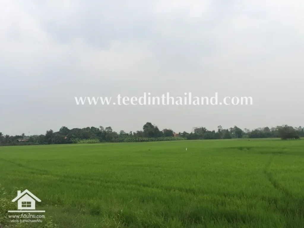 ขายที่ดินลพบุรี 4-3-20 ไร่ โฉนด ตหนองเต่า อบ้านหมี่ จลพบุรี รหัส 4039