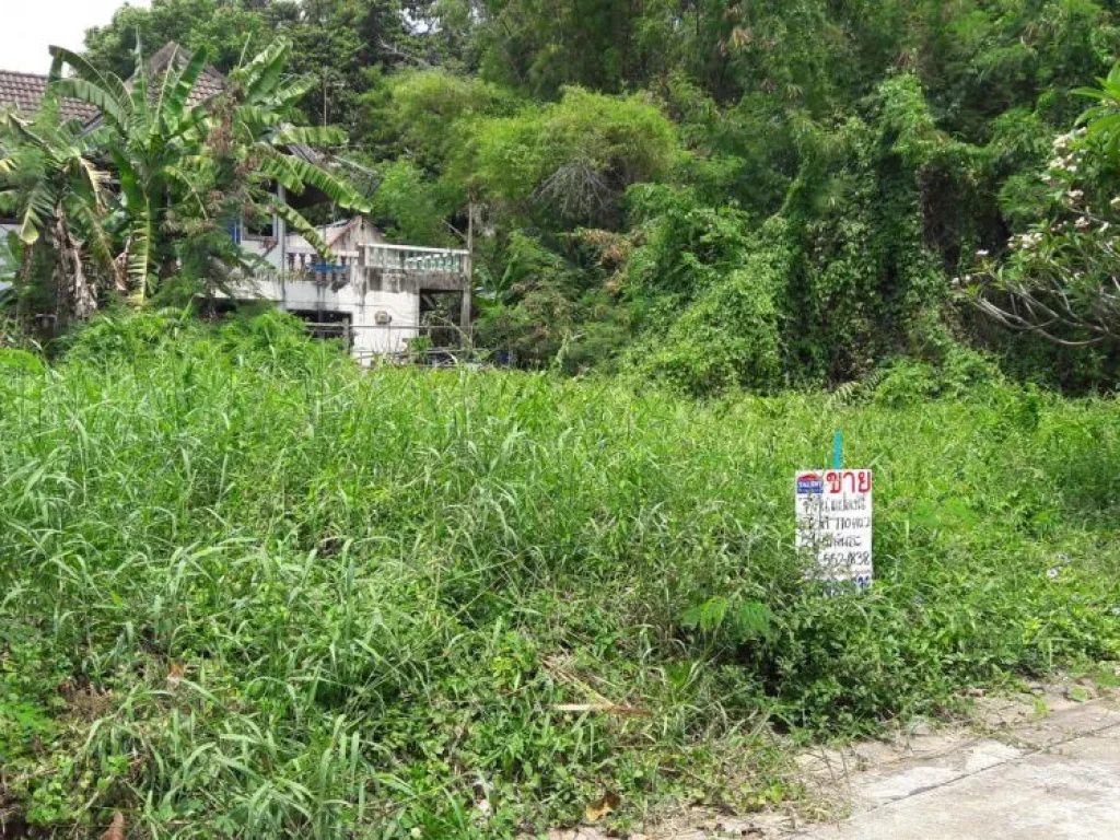 ขายที่ดินเพื่อสร้างบ้านพักอาศัย หมู่บ้านณรงค์สุขนิเวศน์