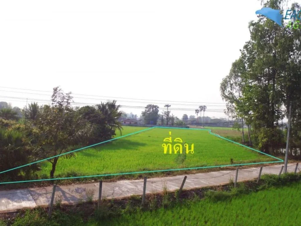 ที่นา 2-3-23 ไร่ หน้าติดถนน 40เมตร วิวสวยเห็นชัดเจน ใกล้ถนนเส้นคันคลอง