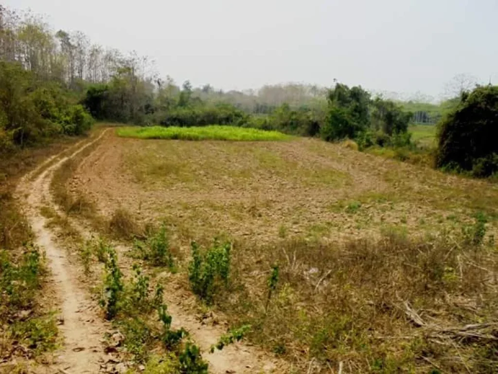 ที่ดินอยู่อาศัย และทำเกษตรกรรม ติดแหล่งน้ำ เมืองน่าน