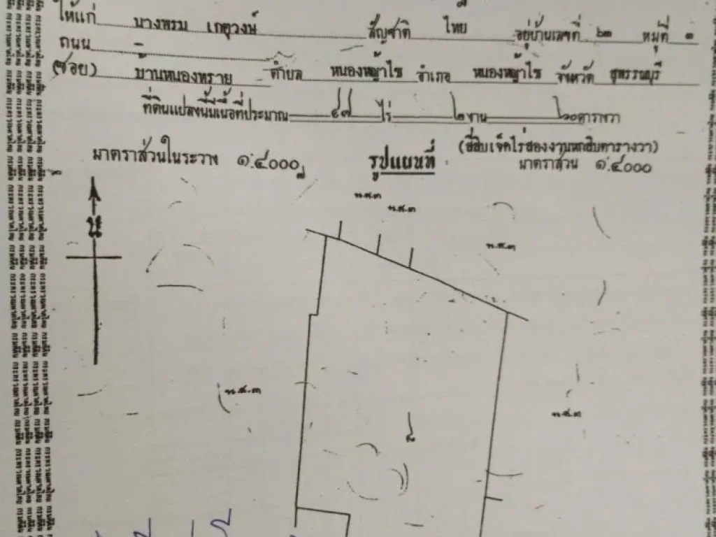 ขายที่ดินไร่อ้อย 65 ไร่ มีโฉนดพร้อมใกล้ถนนใหญ่ใกล้ปั๊มน้ำมัน อหนองหญ้าไซ จสุพรรณบุรี