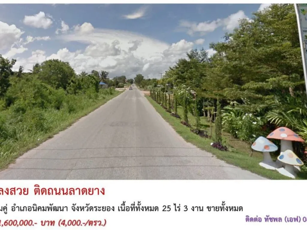 ที่ดินแปลงสวย 25 ไร่ 3 งาน ติดถนนลาดยาง จระยอง