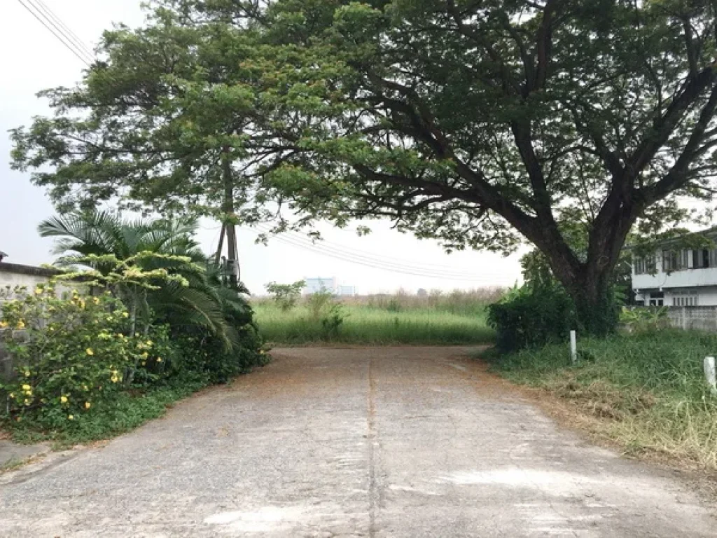 ที่ดิน ซอยสุวินทวงศ์ 18 ถนนสุวินทวงศ์ เขตมีนบุรี กรุงเทพมหานคร