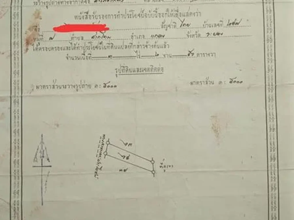 ขายสวนยางพารา 2 แปลงรวม 10 ไร่กว่า ราคาถูก