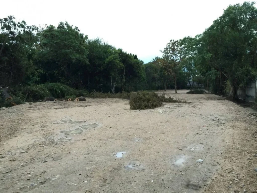 ขายที่ดินเลียบคลองชลประทาน สุเทพ