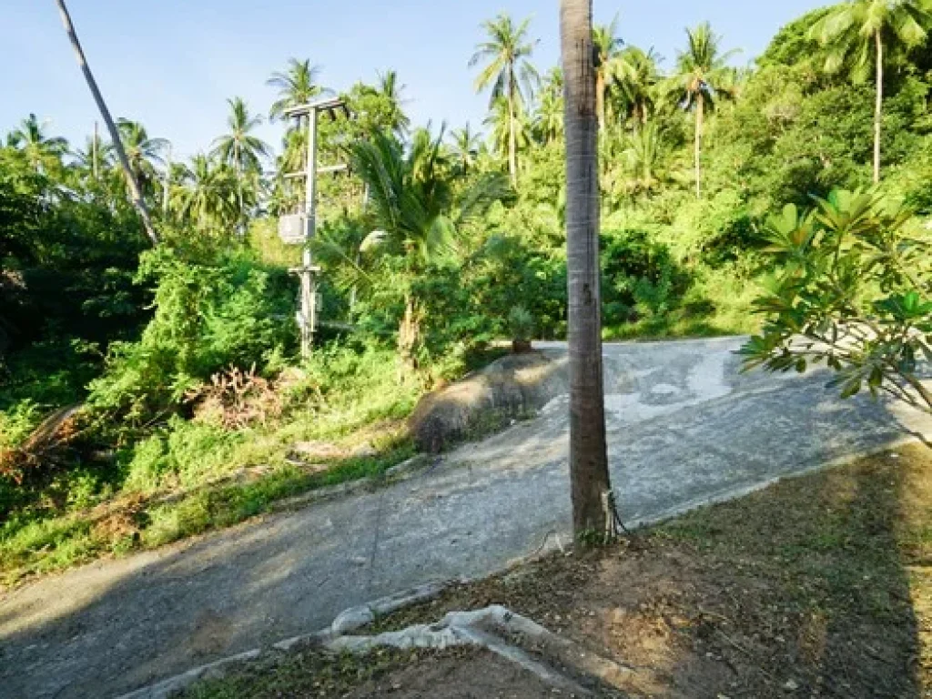 Villa 2 rai for sale in Chaweng Noi Koh Samui Surat thani best location of koh samui free funiture