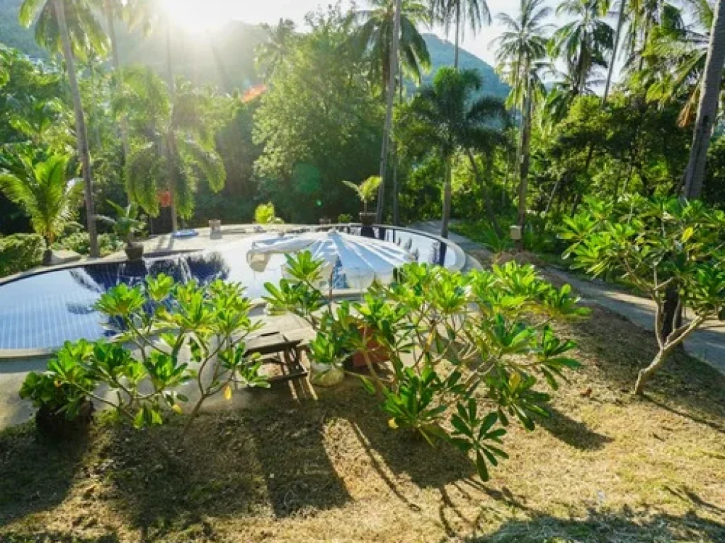 Sale Land and House in Chaweng Noi Koh Samui near Panyadee School Samui have pool good location