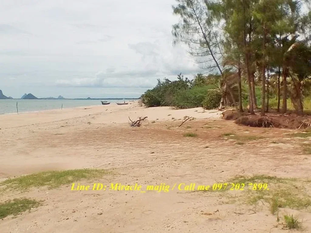 ที่ดินติดชายหาดทรายสวยน้ำใส