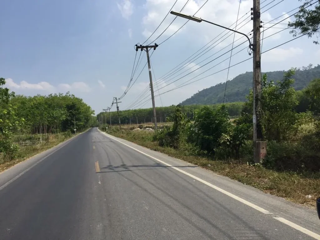 ขายที่ดินสวนยาง ติดถนนใหญ่ กิ่งอำเภอคลองหอยโข่ง หาดใหญ่ จังหวัดสงขลา