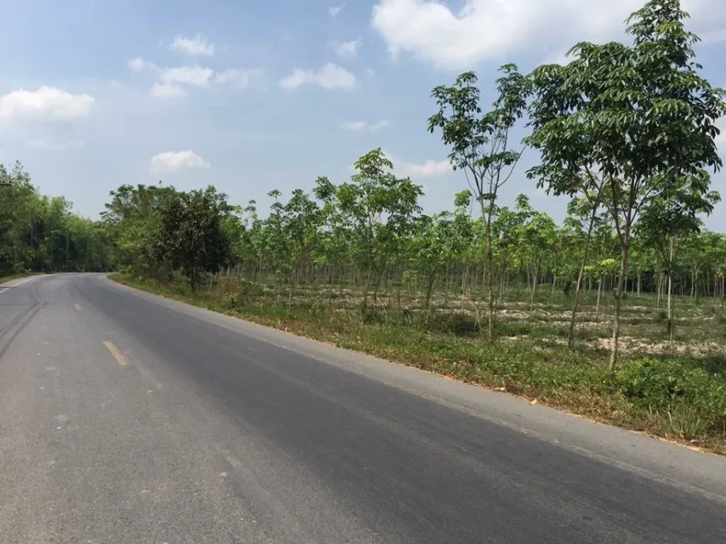 ขายที่ดินสวนยาง ติดถนนใหญ่ กิ่งอำเภอคลองหอยโข่ง หาดใหญ่ จังหวัดสงขลา