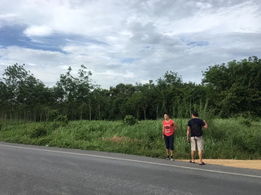 ขายที่ดินสวนยาง ติดถนนใหญ่ กิ่งอำเภอคลองหอยโข่ง หาดใหญ่ จังหวัดสงขลา