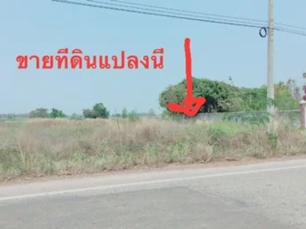 ขายที่ดินเปล่าตำบลเฉลียงทอง นาเฉลียง หนองไผ่ เพชรบูรณ์ 4-0-65ไร่