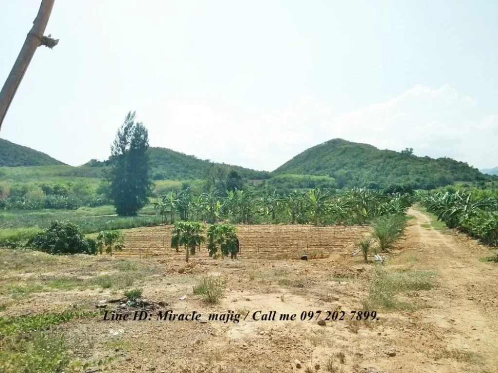 ขายที่ดินไร่สวนผสมแปลงสวย