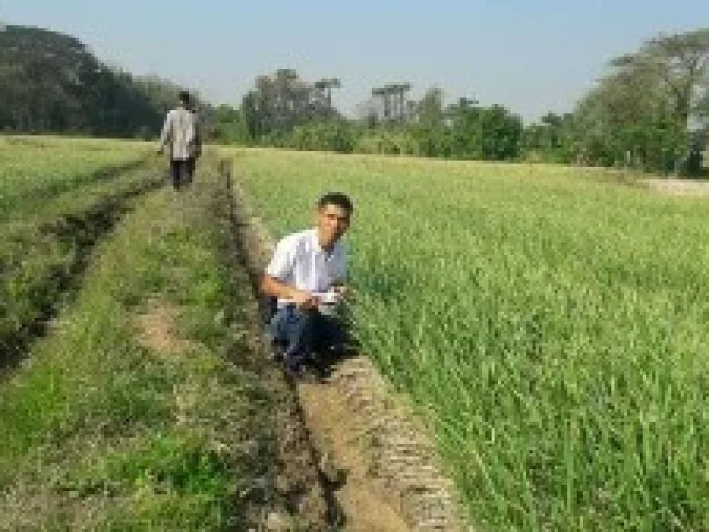 ที่ดิน ดอยสะเก็ด เชียงใหม่ 2 ไร่ ติดลำธาร