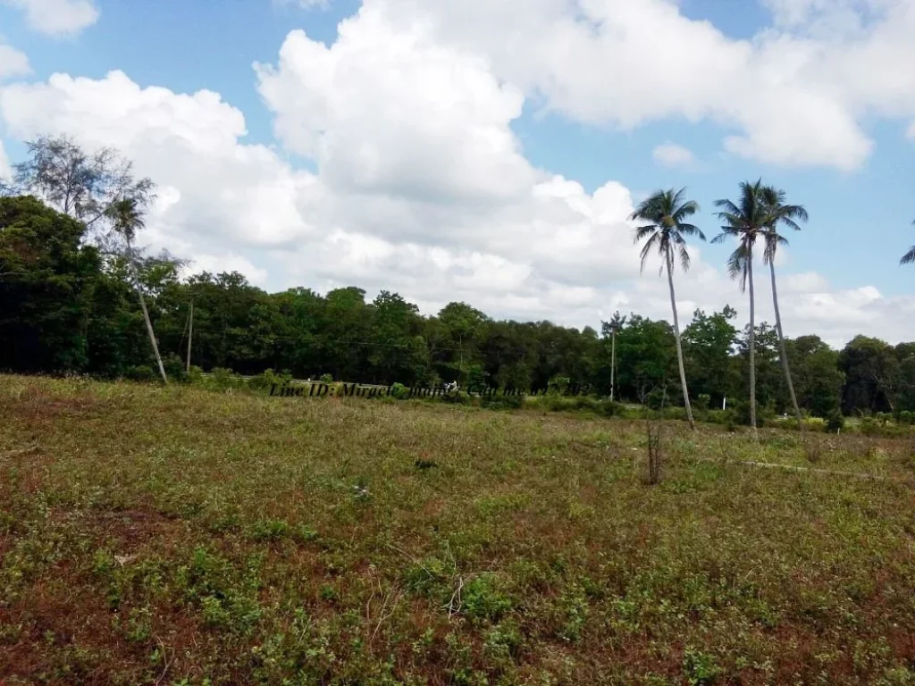 ขายที่ดินติดชายหาด ชุมพร ราคาไม่แพง