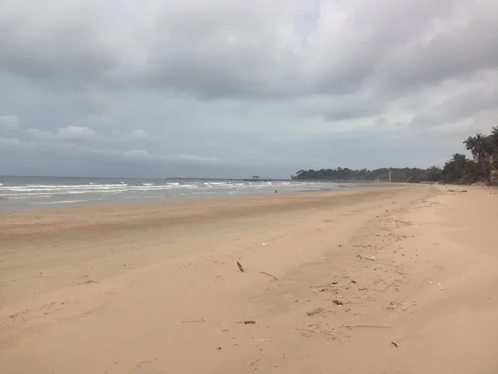 ขายที่ดินติดทะเล หาดสะพลีติดทุ่งวัวแล่น จชุมพร และที่ดินติดทะเล จประจวบ ฝั่งแดง