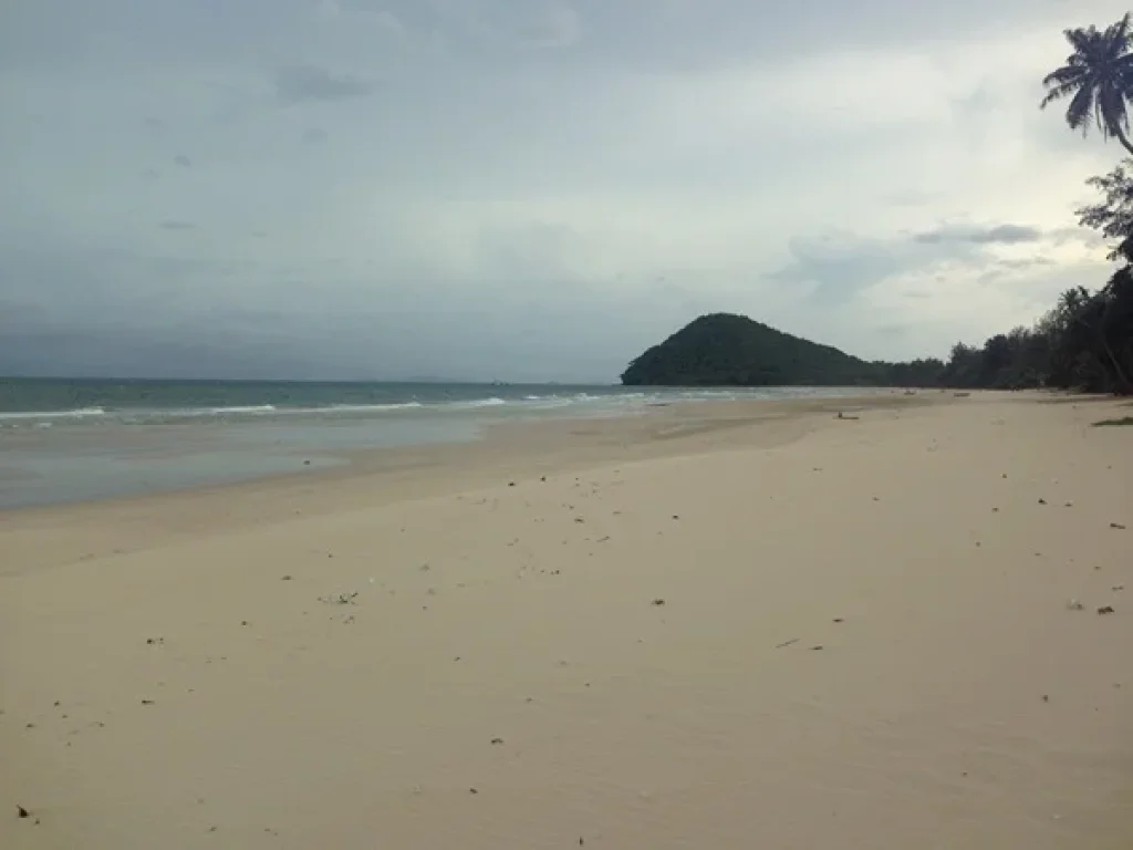 ขายที่ดินติดทะเล หาดสะพลีติดทุ่งวัวแล่น จชุมพร และที่ดินติดทะเล จประจวบ ฝั่งแดง