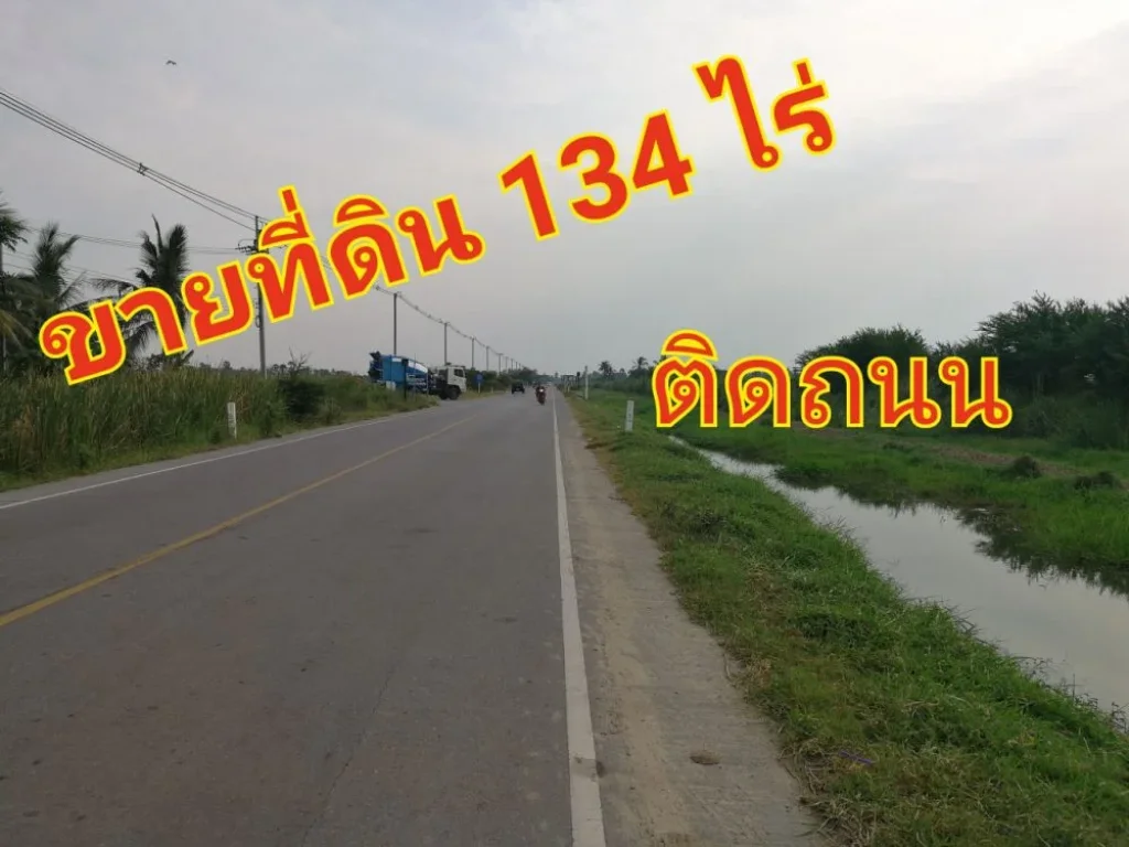 ขายที่ดิน แปลงใหญ่ จ เพชรบุรี