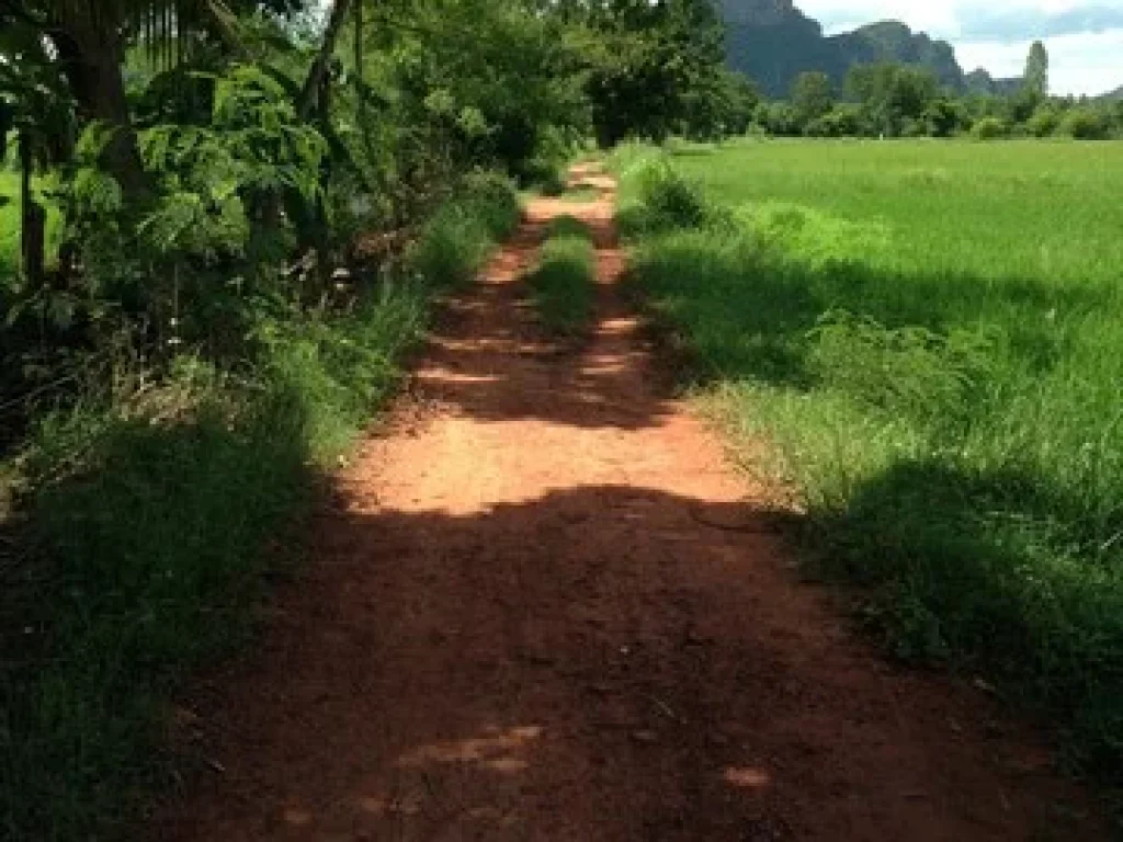 ขายที่ดินไร่นาสวนผสม 34-3-45 ไร่ ตำบลดอนทราย อำเภอปากท่อ จังหวัดราชบุรี