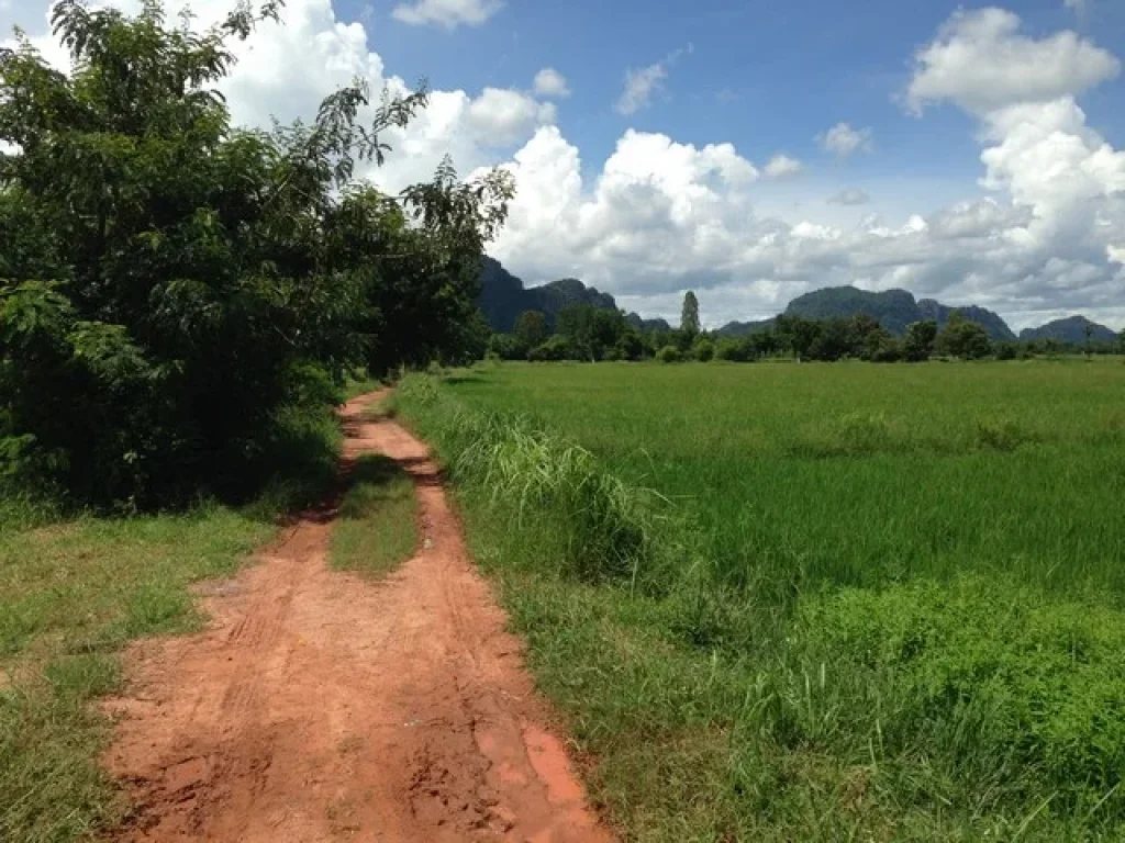 ขายที่ดินไร่นาสวนผสม 34-3-45 ไร่ ตำบลดอนทราย อำเภอปากท่อ จังหวัดราชบุรี