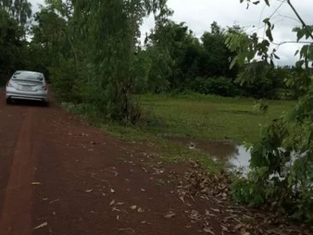 ขายที่ดิน 1 ไร่ บ้านหนองแวง ติดถนนซอย ห่างถนนทางหลวง ชนบท