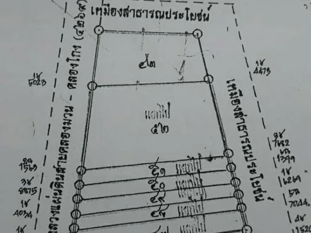 ขายด่วน ที่ดินเปล่าติดถนนใหญ่สายกะปางห้วยยอด จตรัง