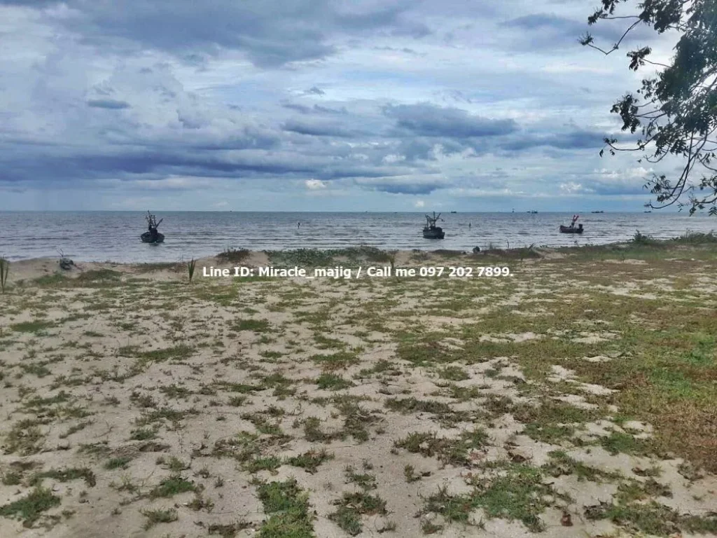 ขายที่ดินติดชายหาดอ่าวไทยนเรศวร